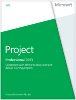 MS Project 2013