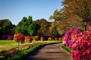 Improve your problem solving by changing your environment