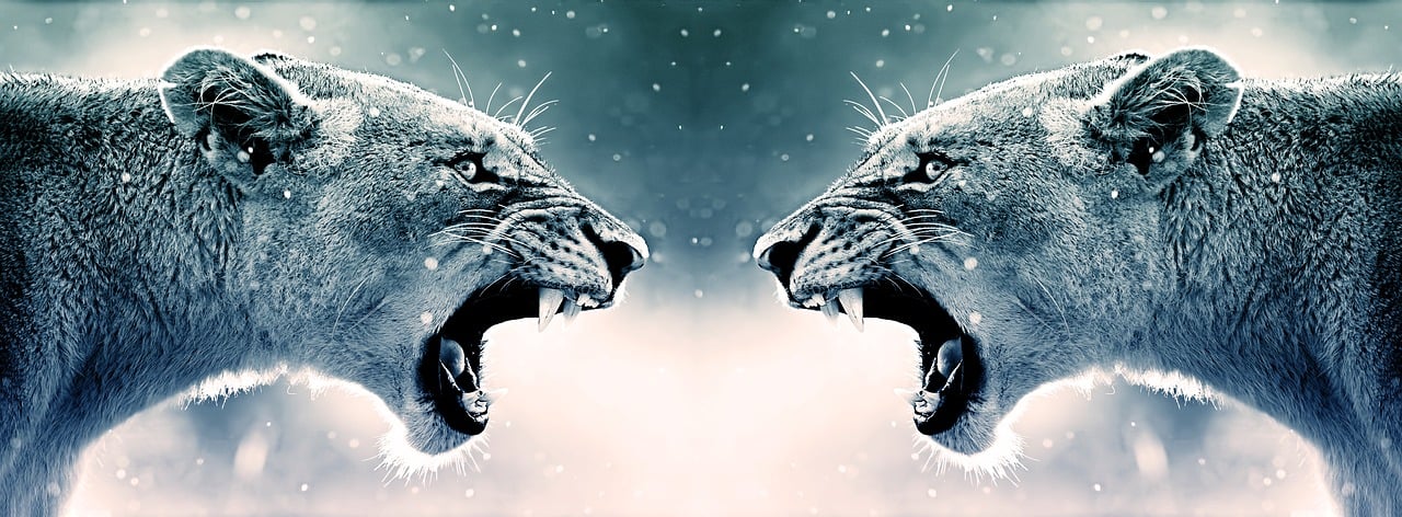 Managing Anger and Aggressive Behaviour
